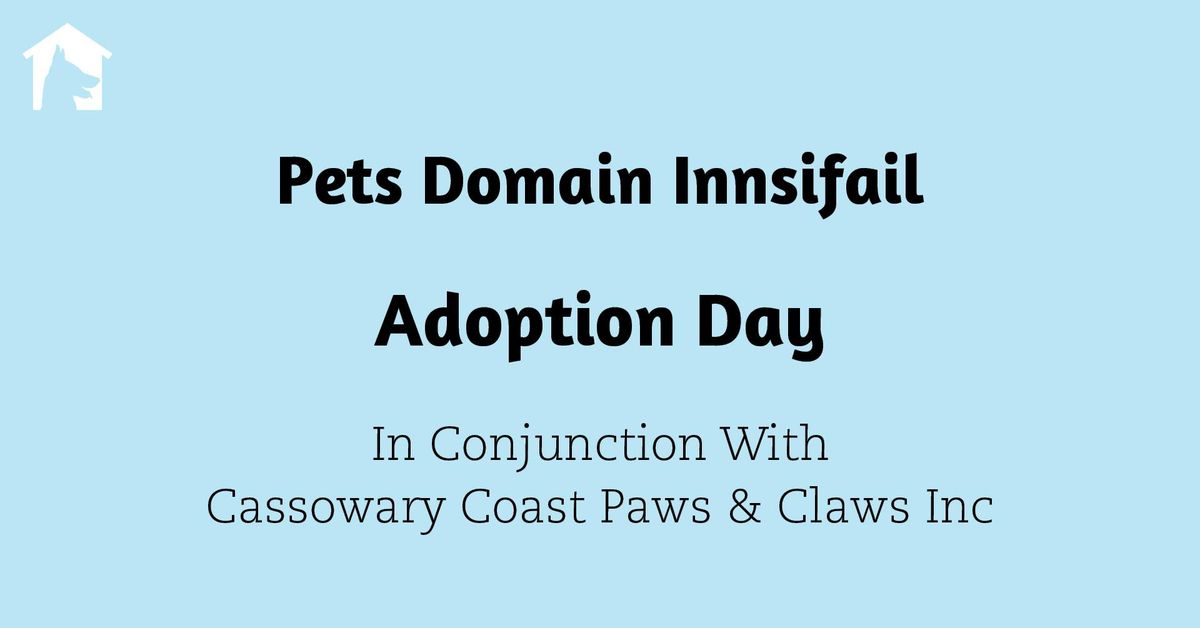 Pet-Friendly Living Room Ideas: Luxury Design That Resists Paws & Claws