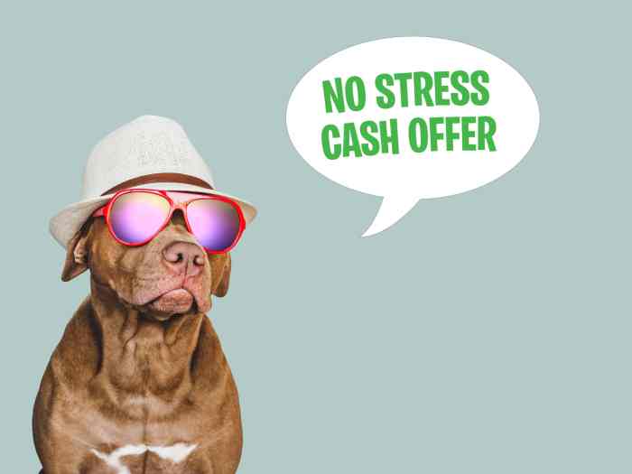 Sell House Cash | Get Cash Offer For House | We Buy Houses Sell House Cash | Get Cash Offer For House | We Buy Houses