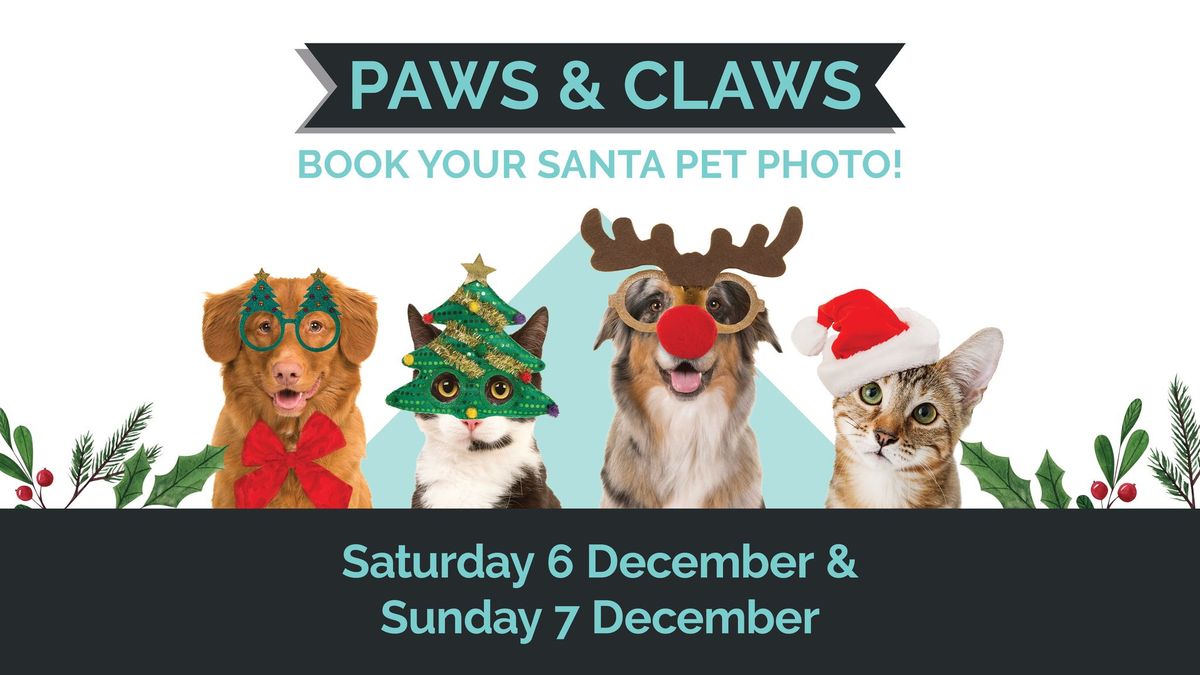 Pet-Friendly Living Room Ideas: Luxury Design That Resists Paws & Claws